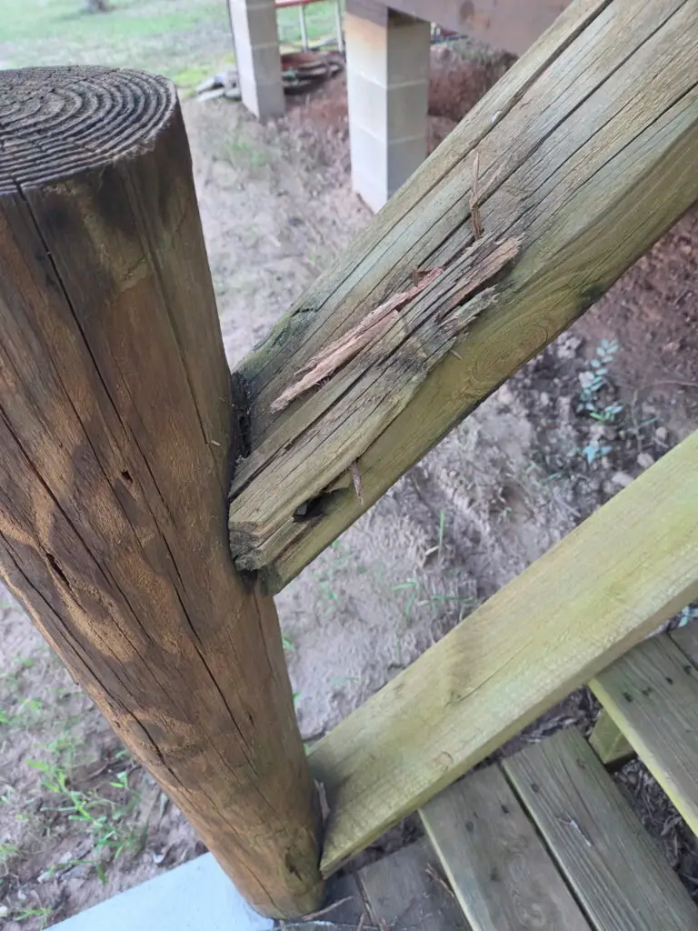 Stair Tread and Railing Replacement in Chappells — chappells handyman